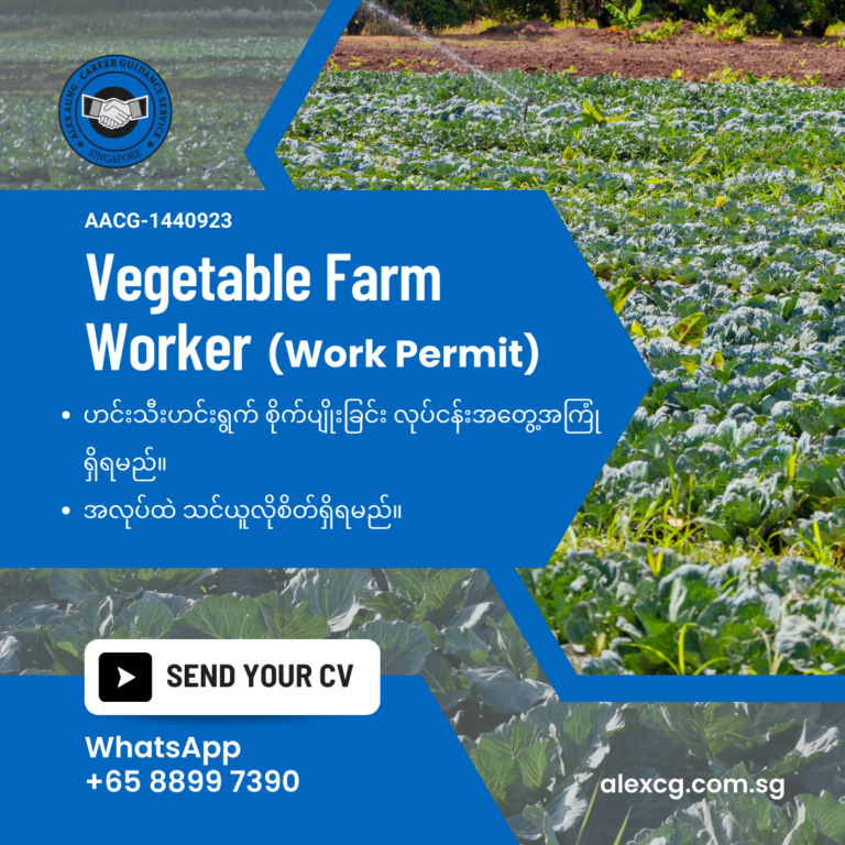 Vegetable Farm Worker (WP)