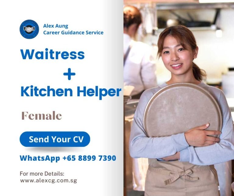Waitress + Kitchen Helper