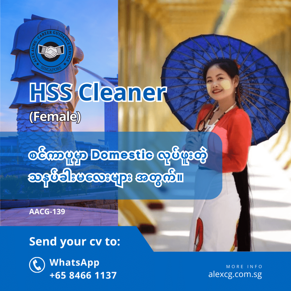 HSS Cleaner