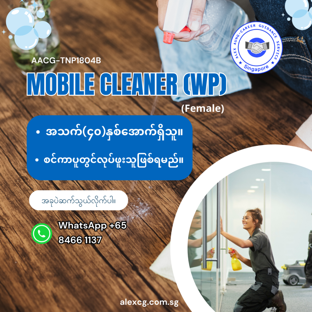 Mobile Cleaner (WP)