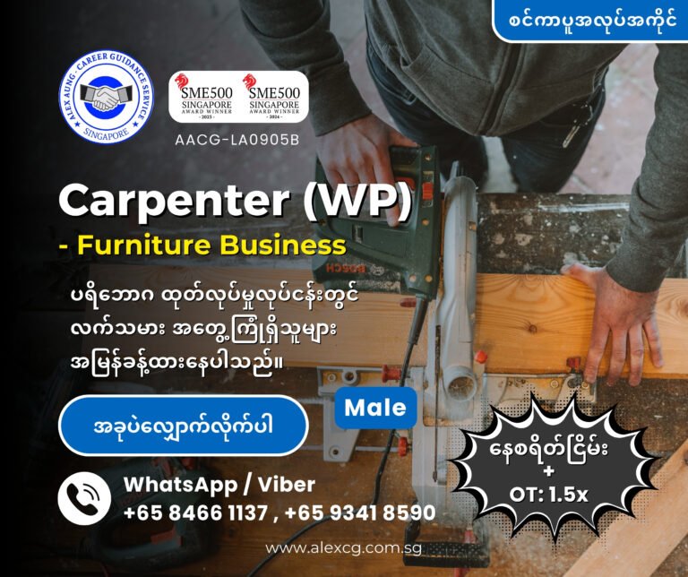 Carpenter - Furniture Business (WP)