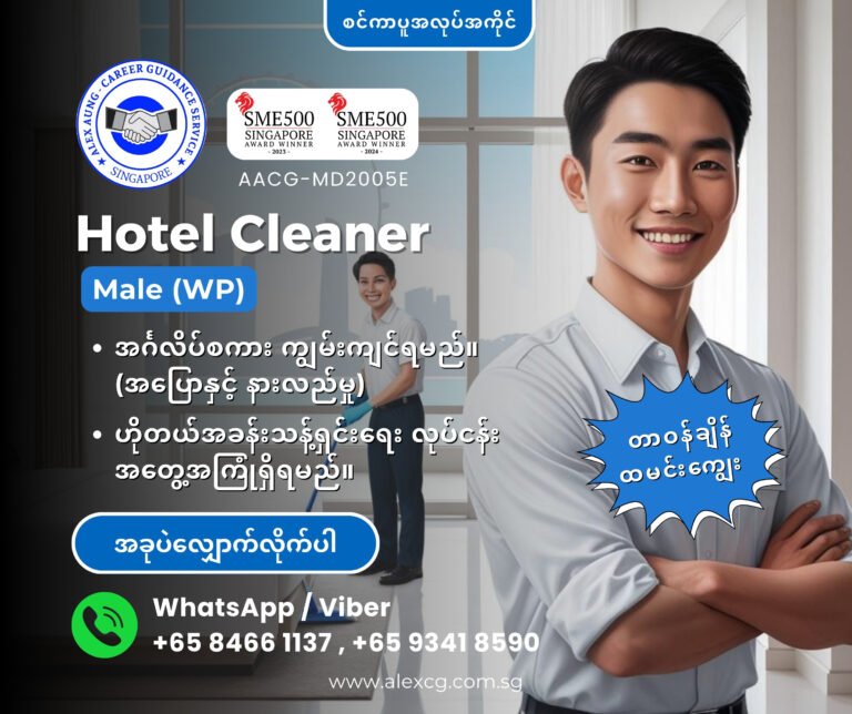 Hotel Cleaner (WP)