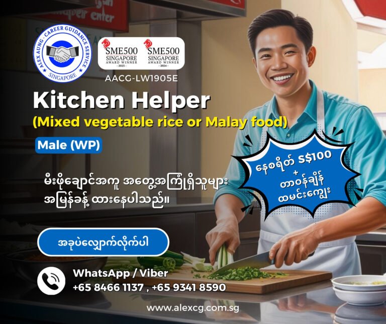 Kitchen Helper - Mixed vegetable rice or Malay food (WP)