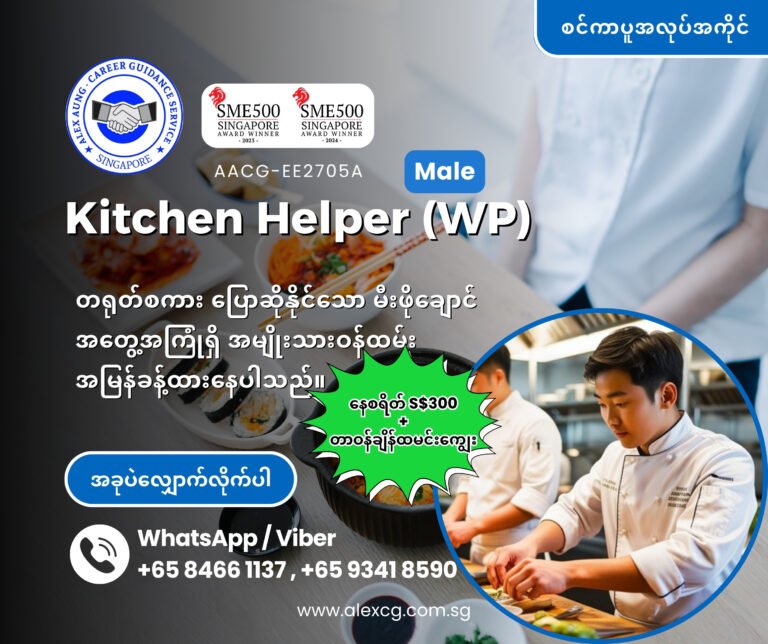 Kitchen Helper (WP) Male Speak Chinese