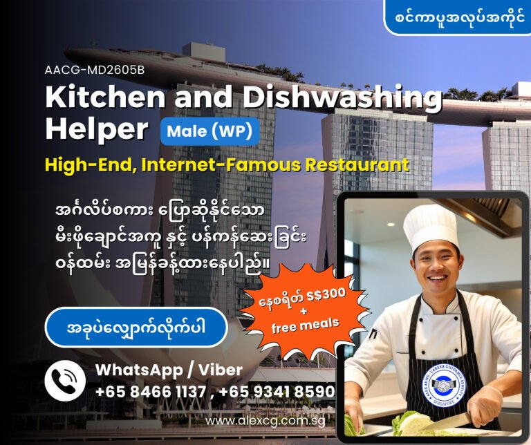 Kitchen and Dishwashing Helper (WP) Male