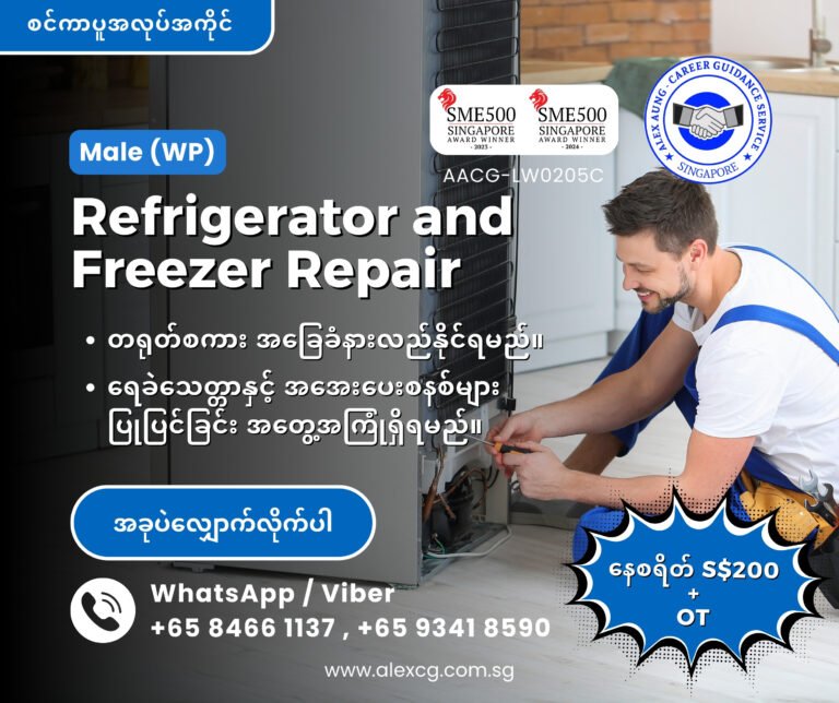 Refrigerator and Freezer Repair (WP)