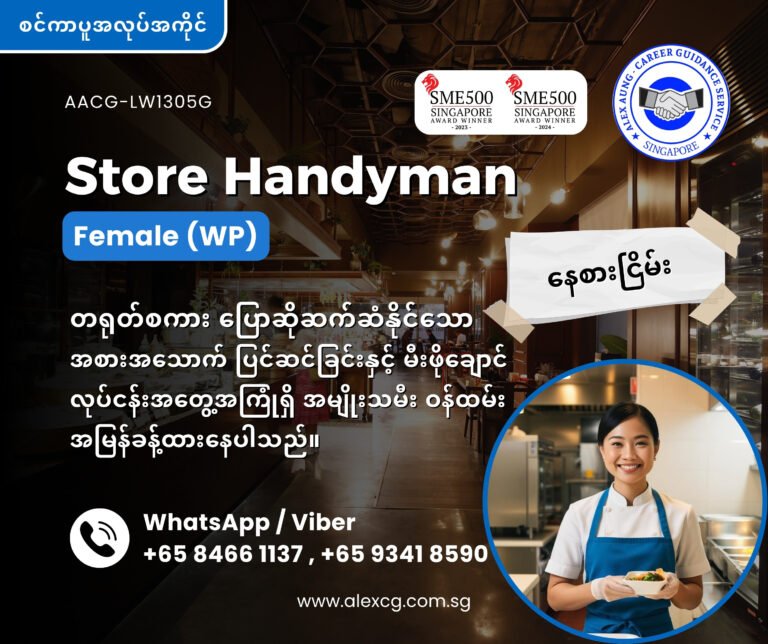 Store Handyman (WP)