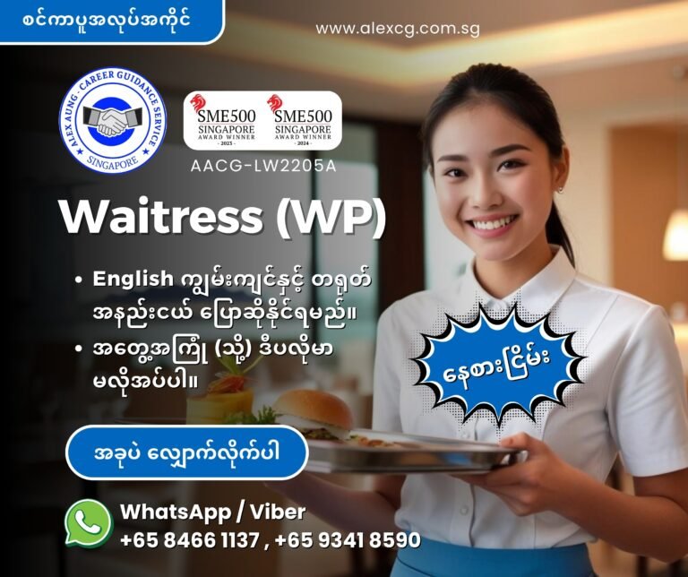 Waitress - No Experience (WP)