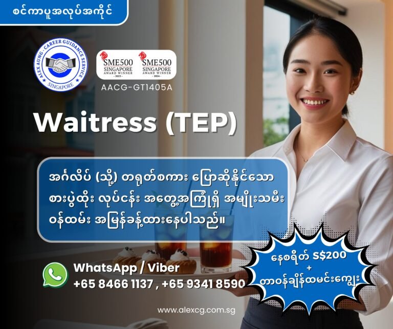 Waitress (TEP)