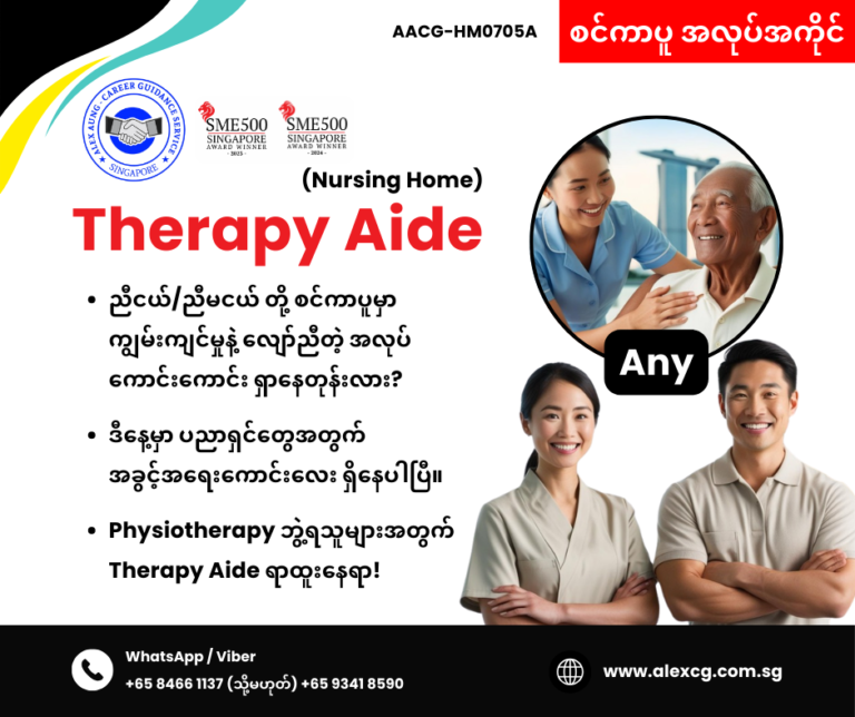 Therapy Aide
