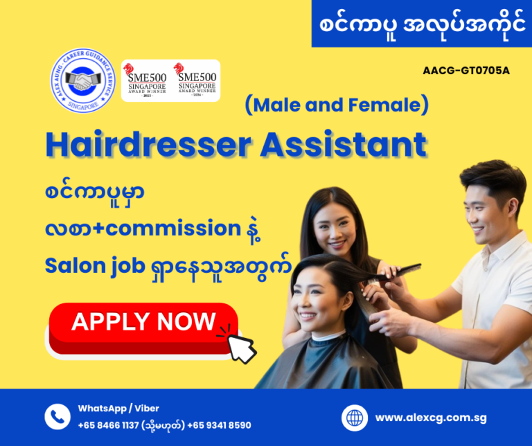 Hairdresser Assistant