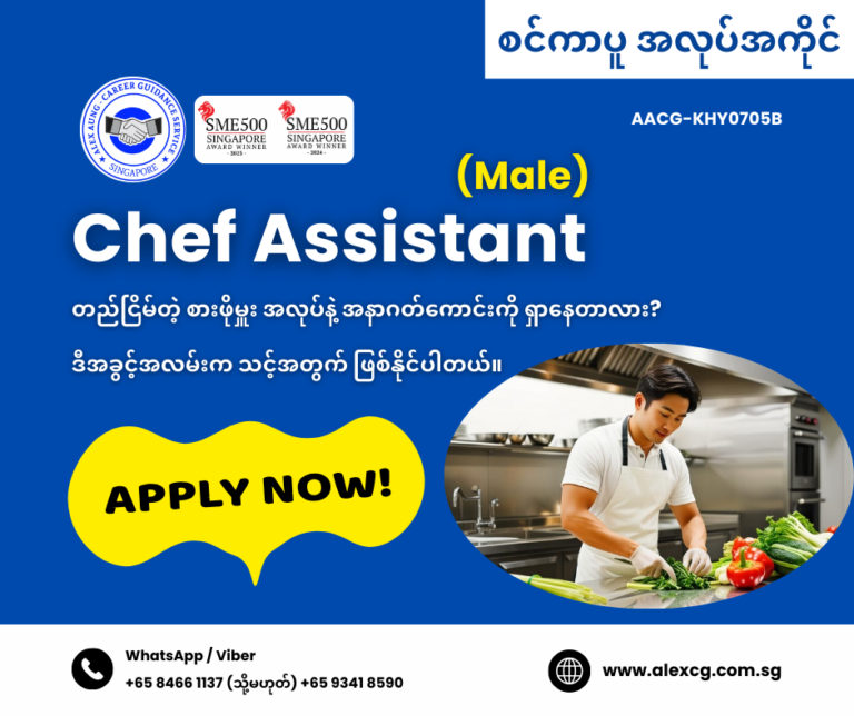 Chef Assistant