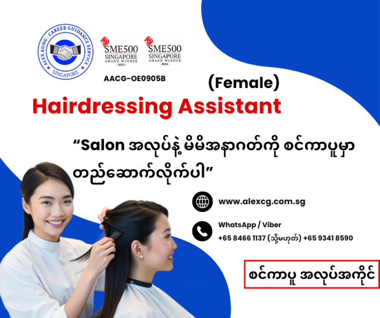 Hairdressing Assistant