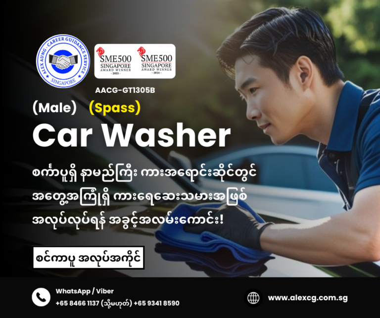 Car Washer