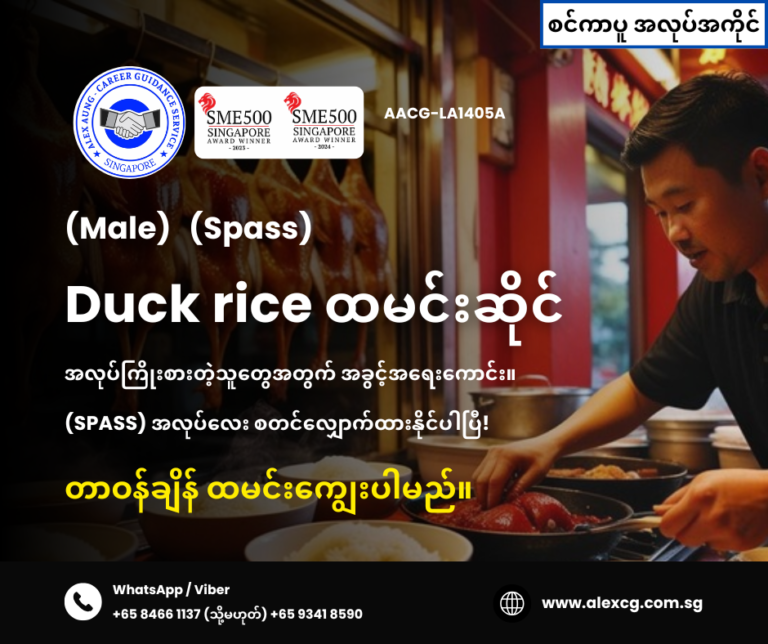 Duck rice ထမင်းဆိုင်