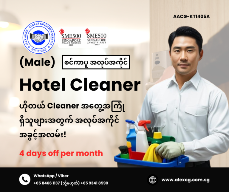 Hotel Cleaner