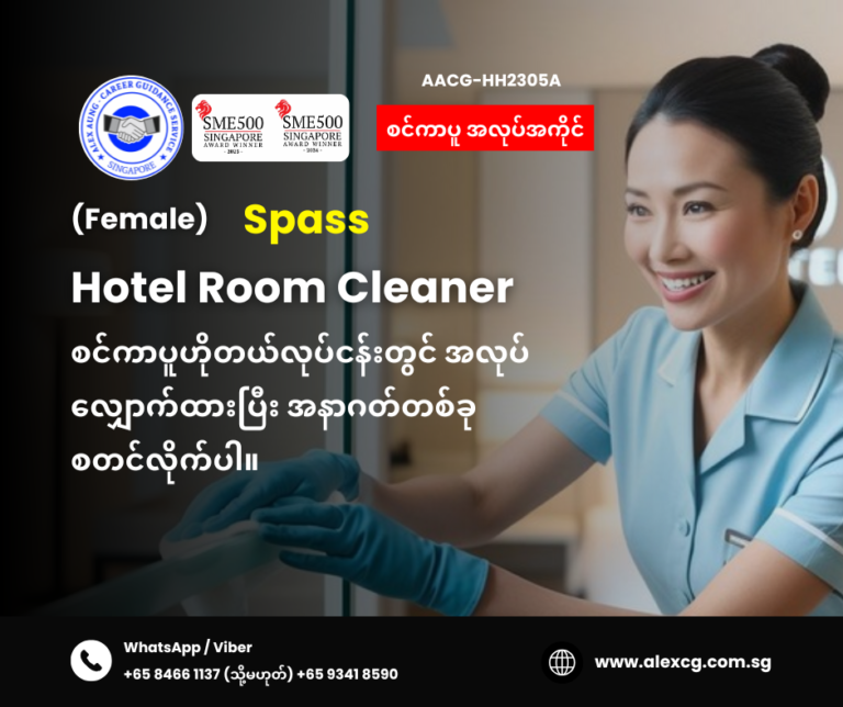 Hotel Room Cleaner