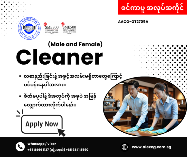 Cleaner