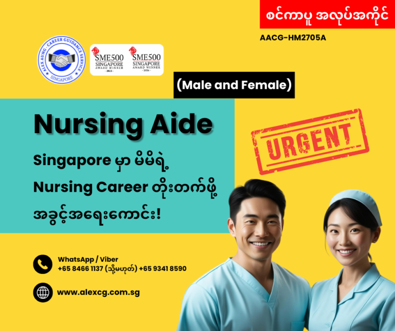 Nursing Aide