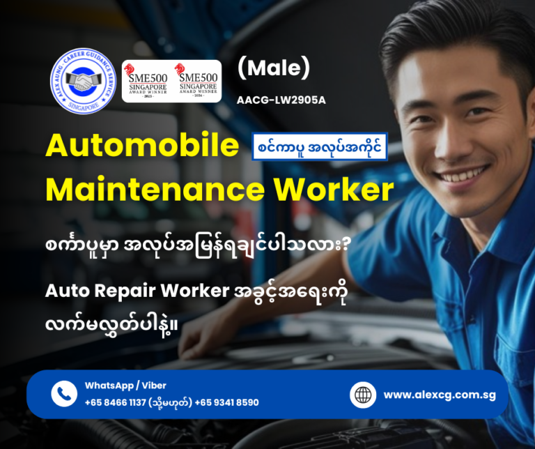 Automobile Maintenance Worker