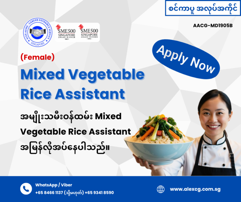 Mixed Vegetable Rice Assistant