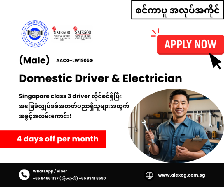 Domestic Driver & Electrician