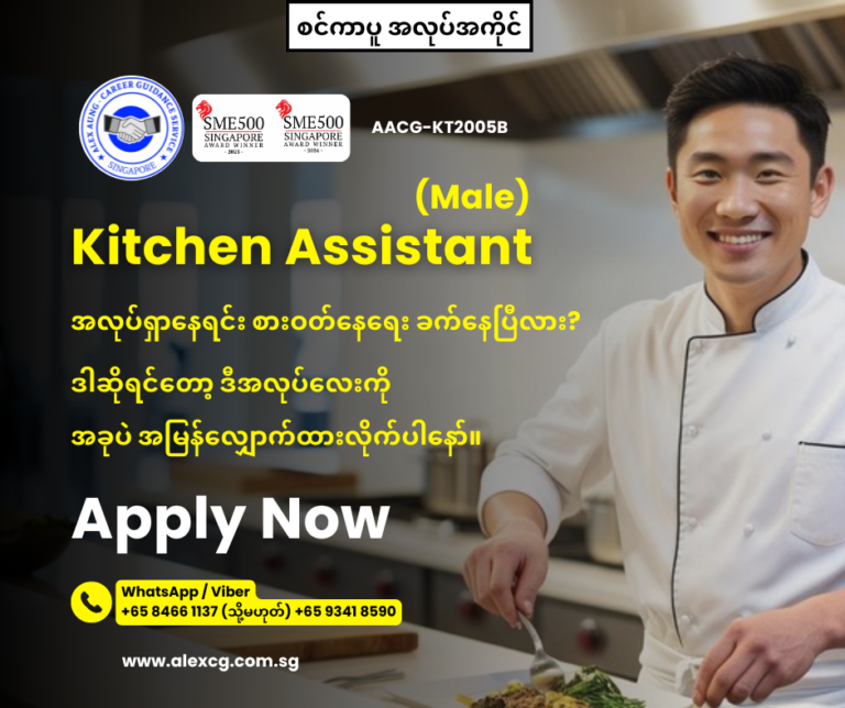 Kitchen Assistant