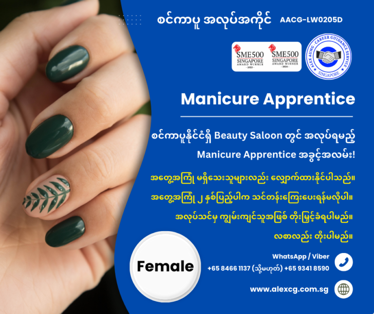 Manicure Apprentice