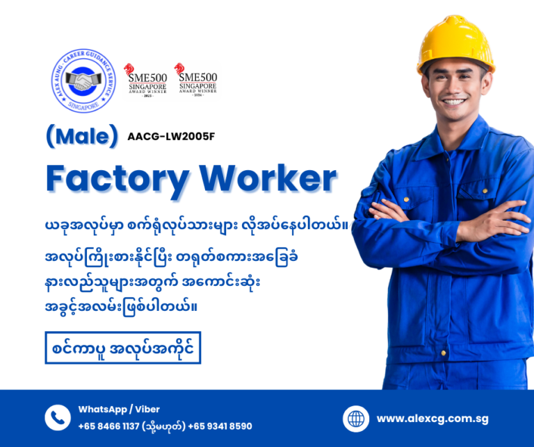 Factory Worker