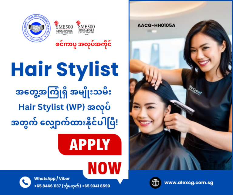 Hair Stylist
