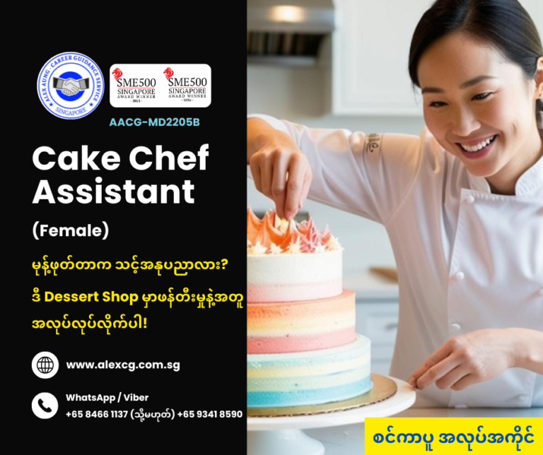 Cake Chef Assistant