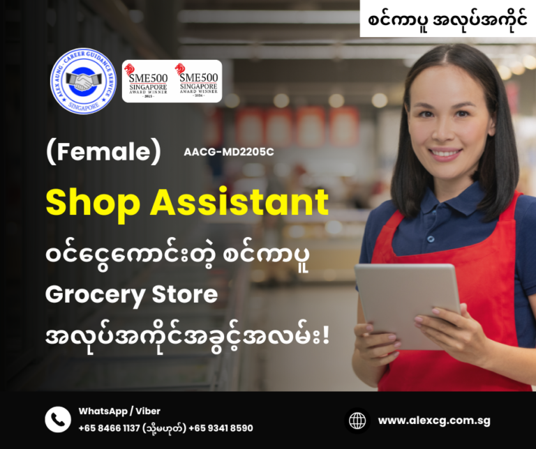Shop Assistant