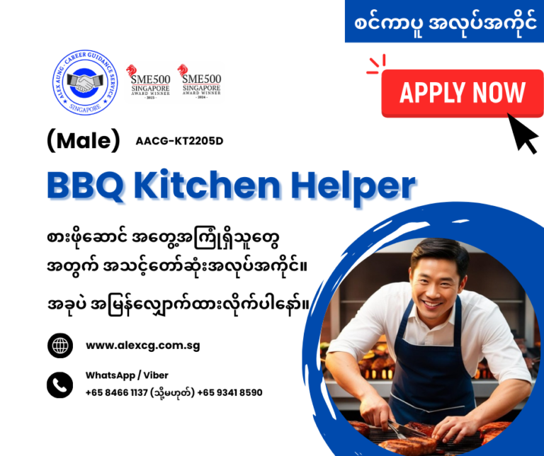 BBQ Kitchen Helper