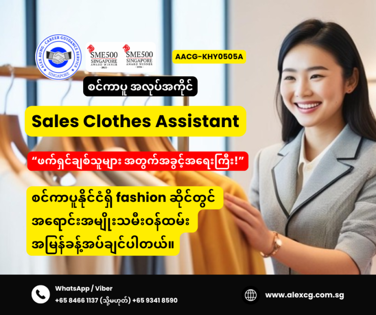Sales Clothes Assistant
