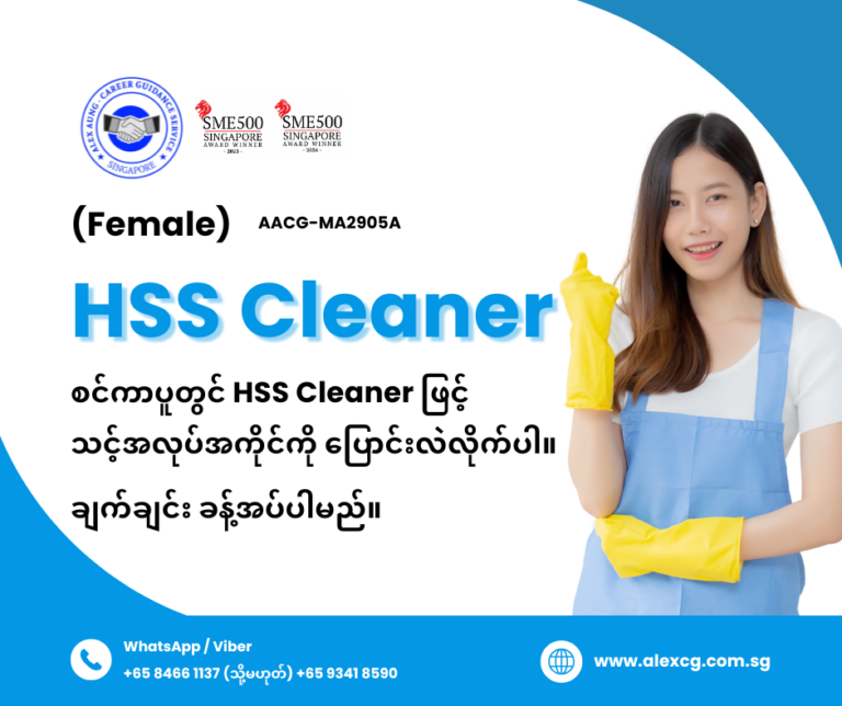 HSS Cleaner
