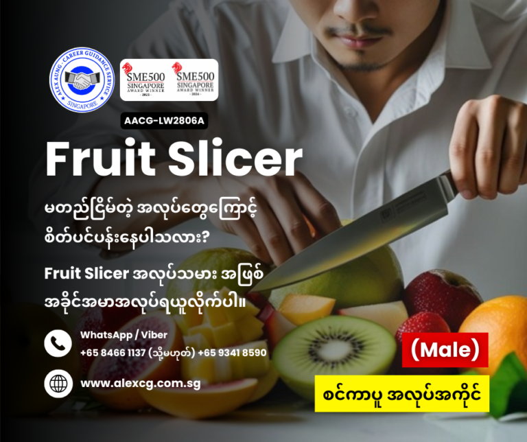 Fruit Slicer
