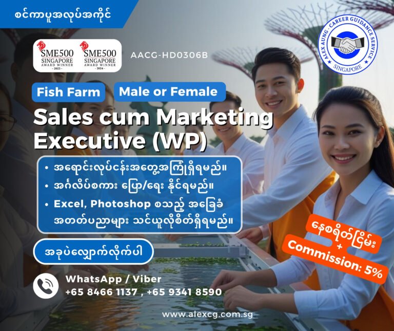Sales cum Marketing Executive (WP)