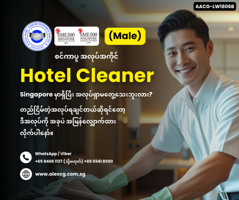 Hotel Cleaner
