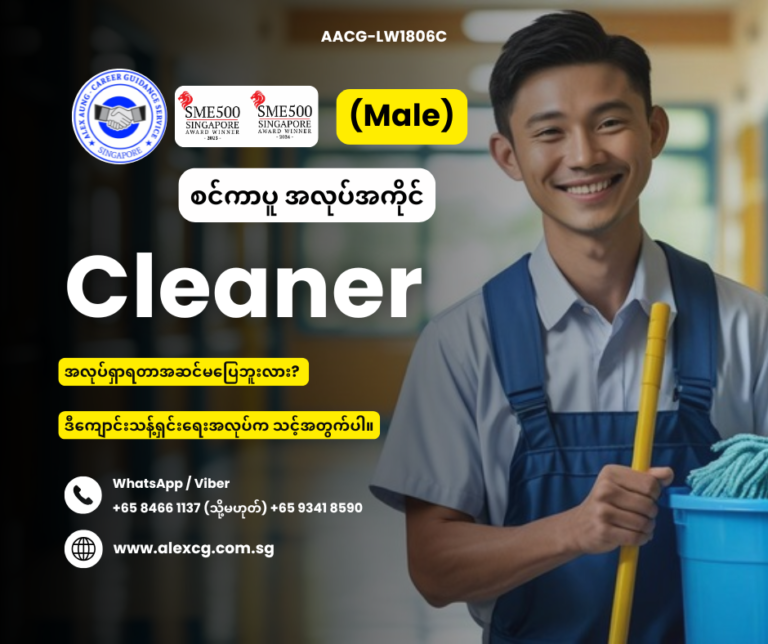 Cleaner