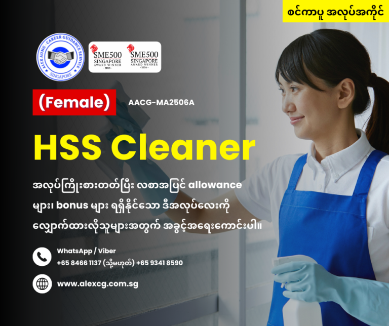 HSS Cleaner