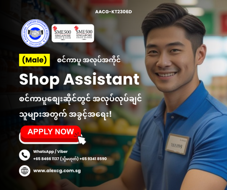 Shop Assistant