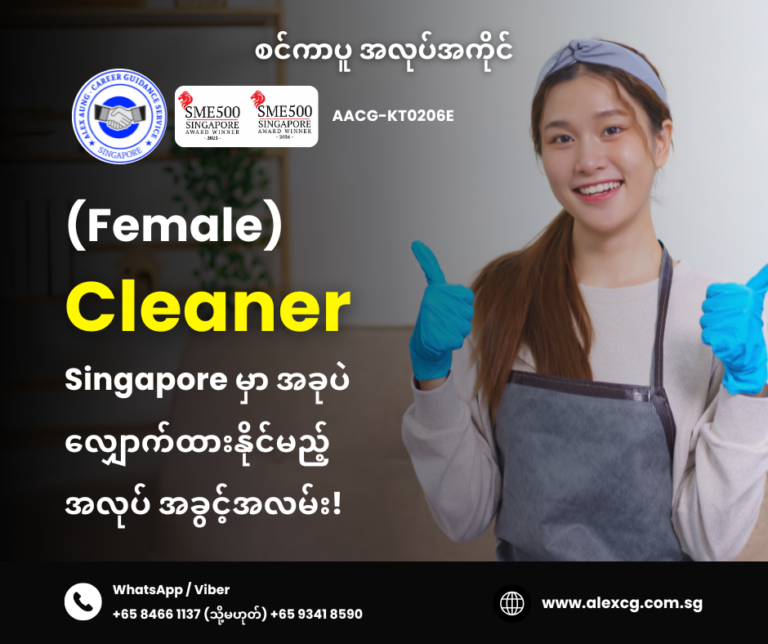 Cleaner