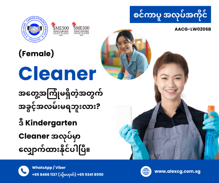 Cleaner