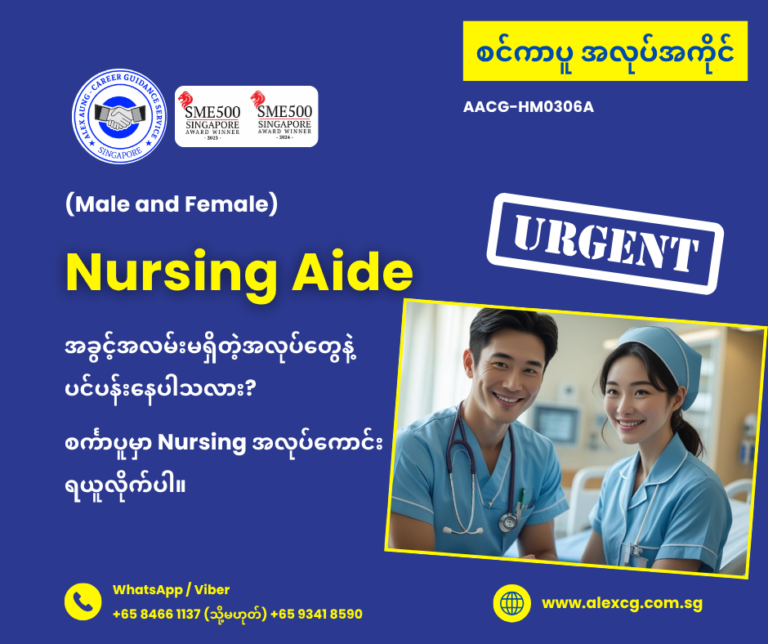 Nursing Aide