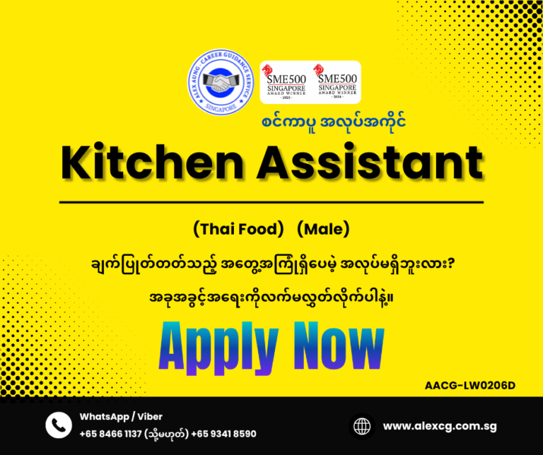Kitchen Assistant