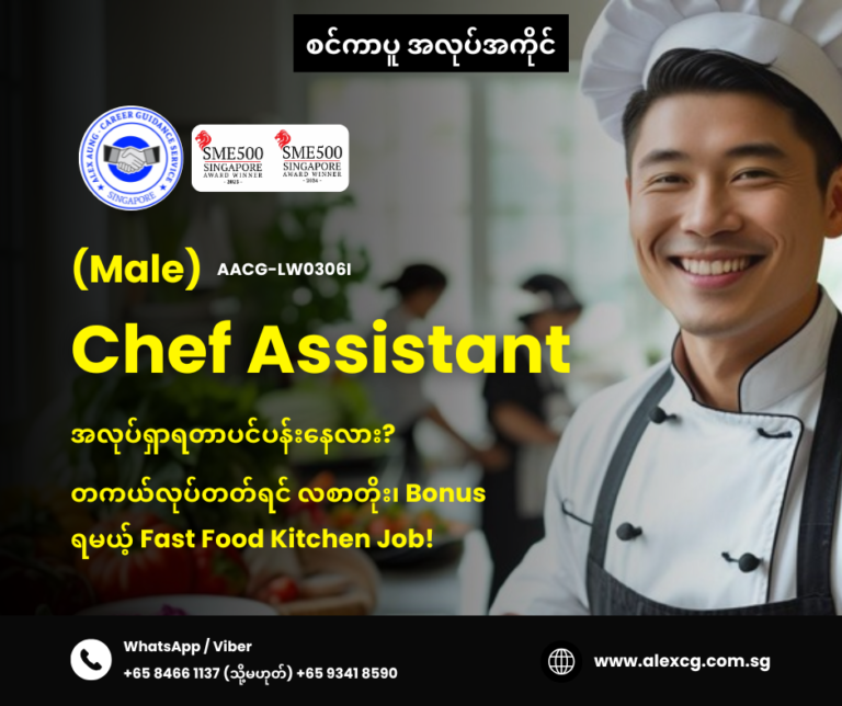 Chef Assistant