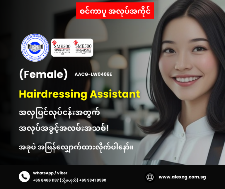 Hairdressing Assistant