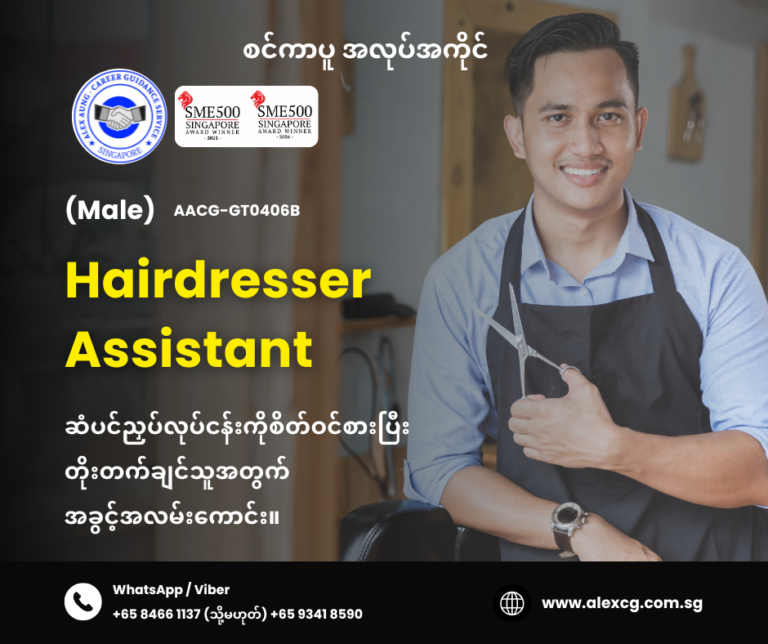 Hairdresser Assistant