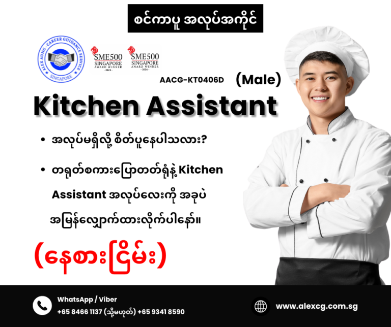 Kitchen Assistant