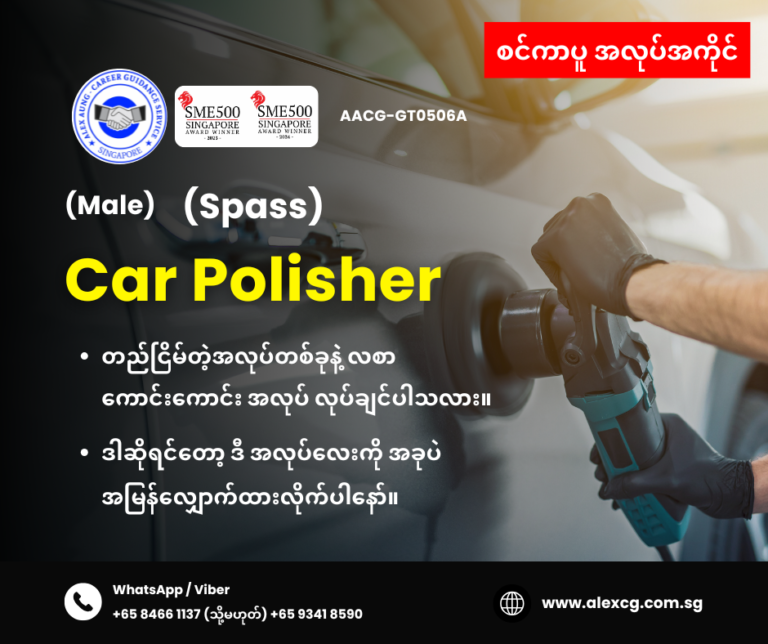 Car Polisher